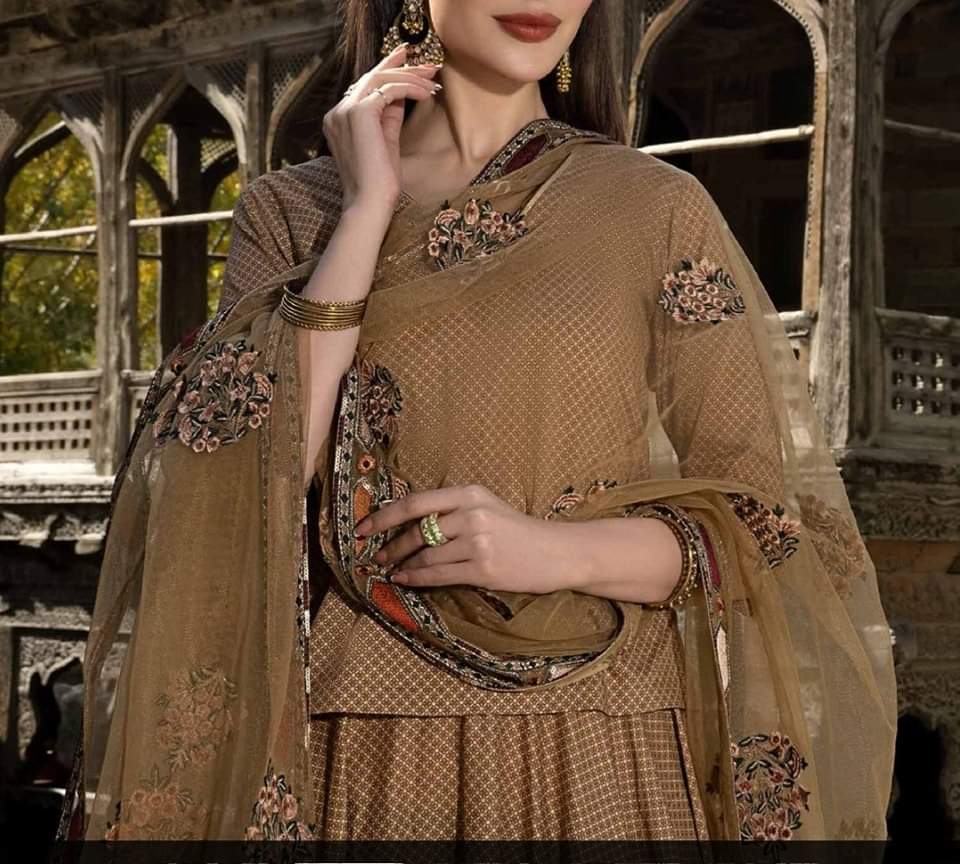 Pakistani/Indian traditional women clothing