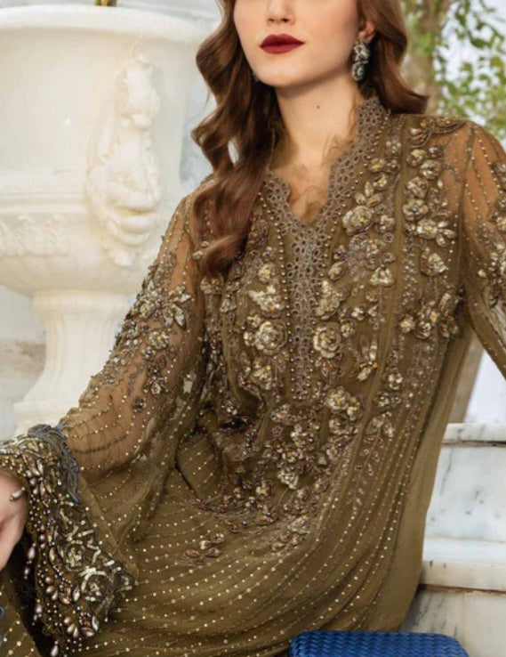 Pakistani/Indian traditional women clothing