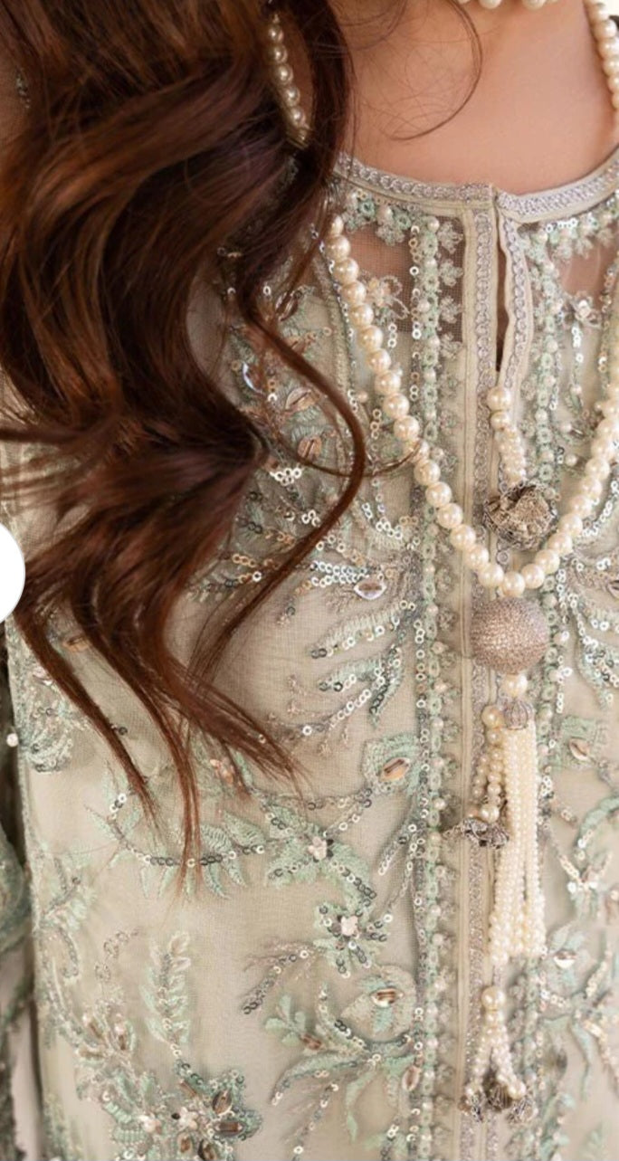 Pakistani/Indian traditional women clothing