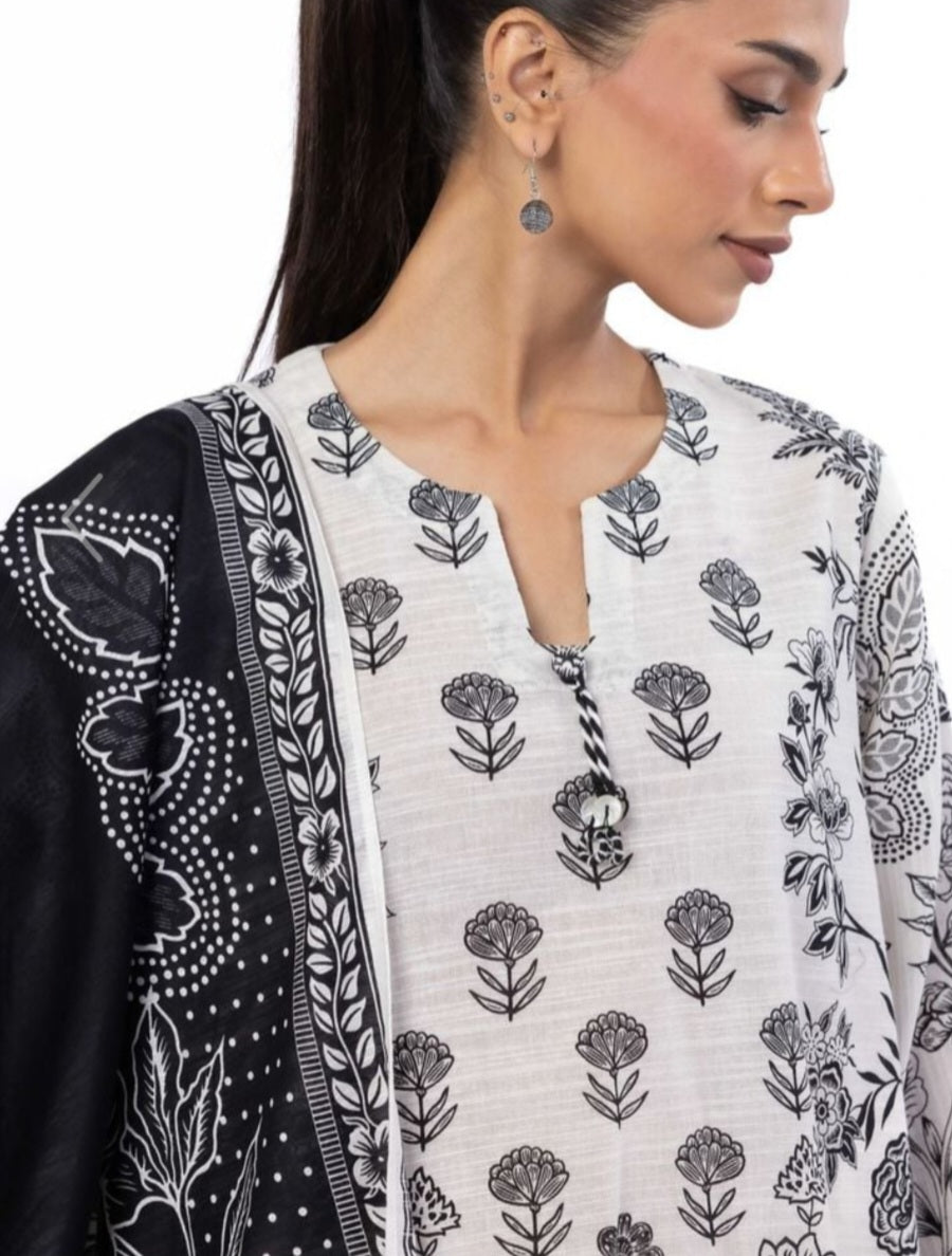 Pakistani/Indian traditional women clothng