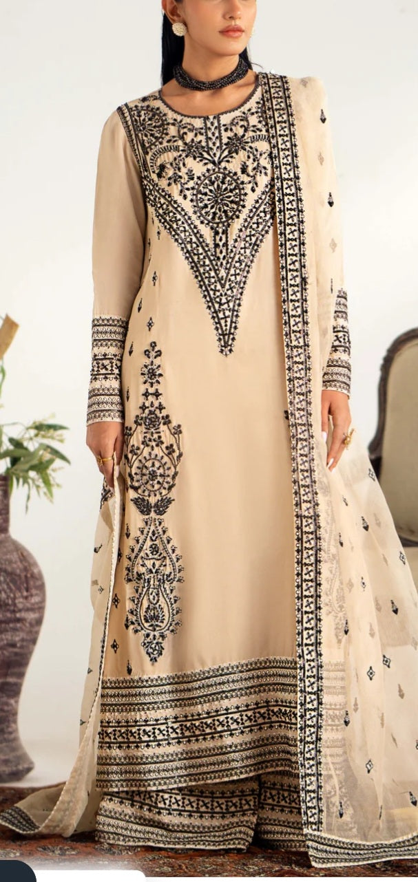 Pakistani/Indian traditional women clothng