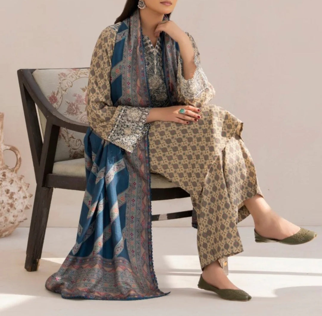 Pakistani/Indian traditional women clothing