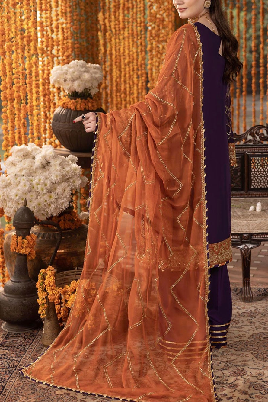 Pakistani/Indian traditional women clothing