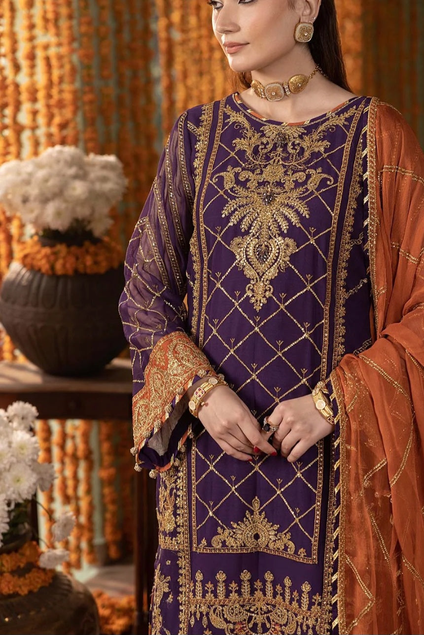 Pakistani/Indian traditional women clothing