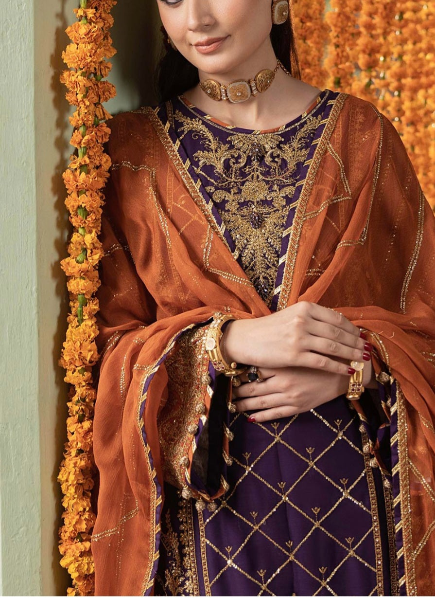 Pakistani/Indian traditional women clothing