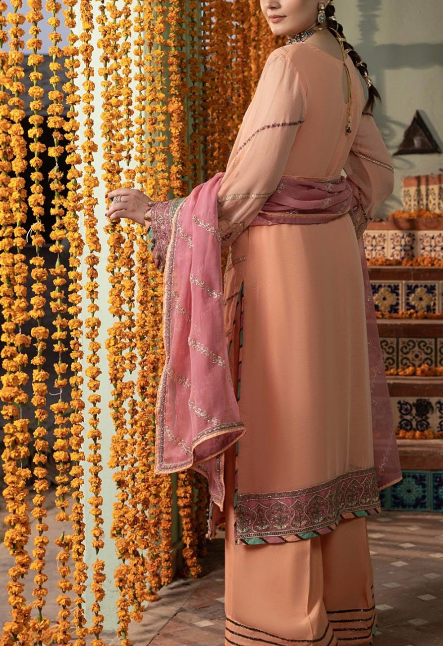 Pakistani/Indian traditional women clothing