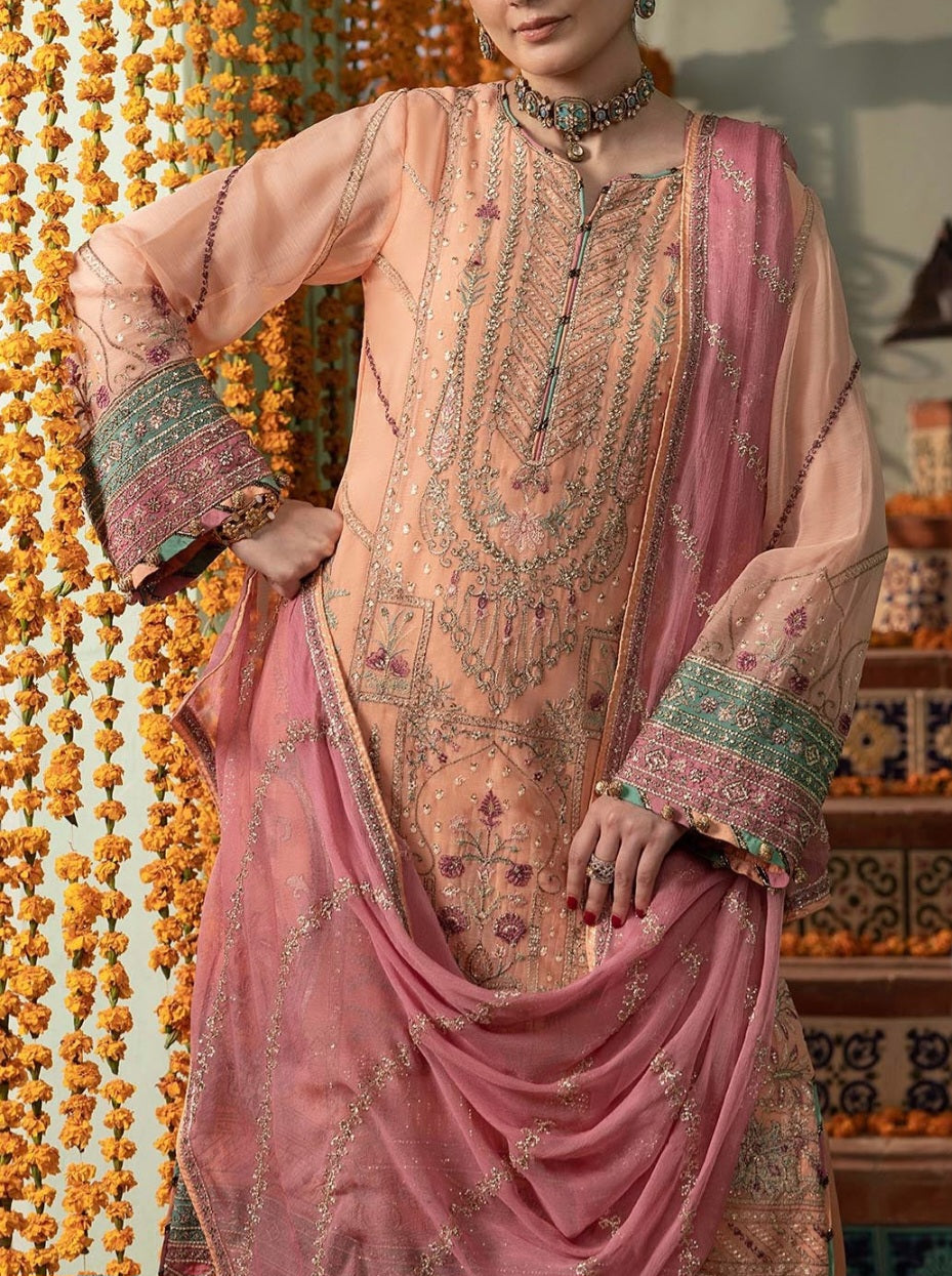 Pakistani/Indian traditional women clothing