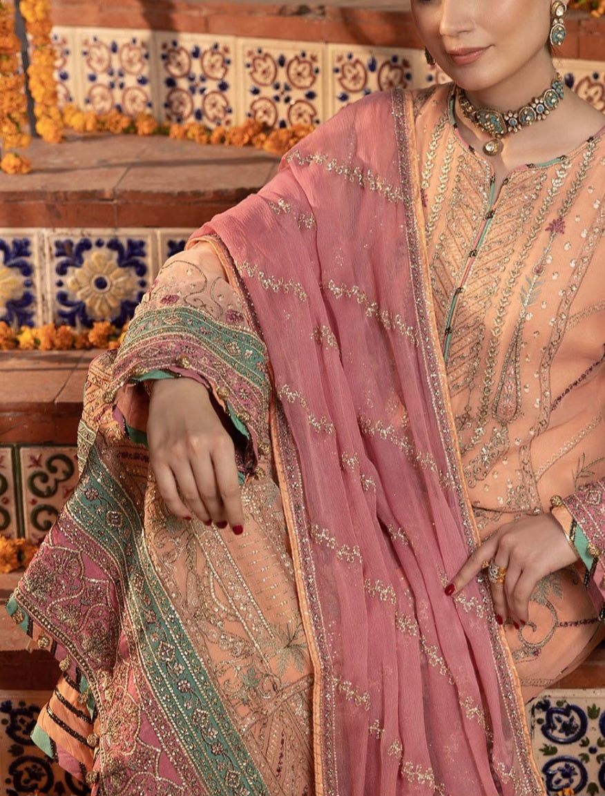 Pakistani/Indian traditional women clothing