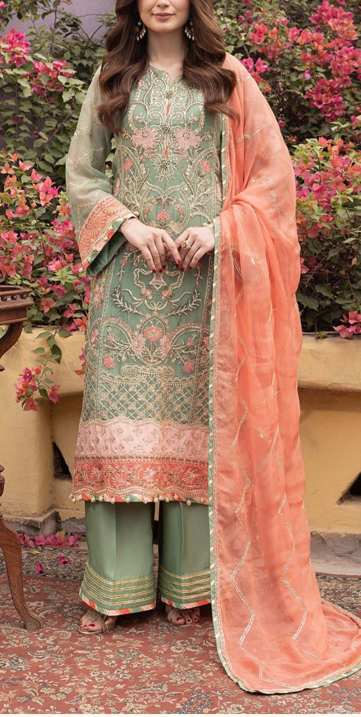 Pakistani/Indian traditional women clothing