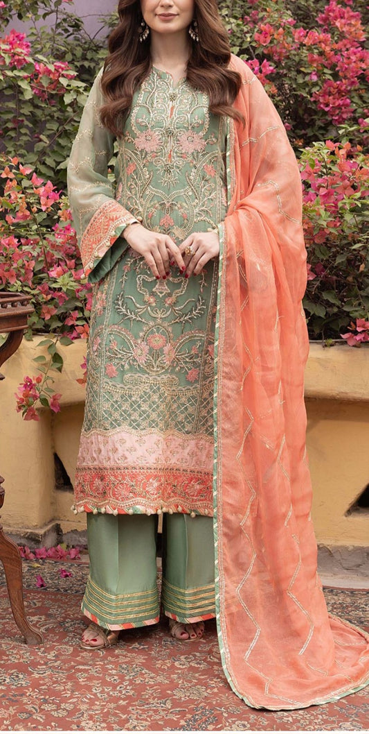 Pakistani/Indian traditional women clothing