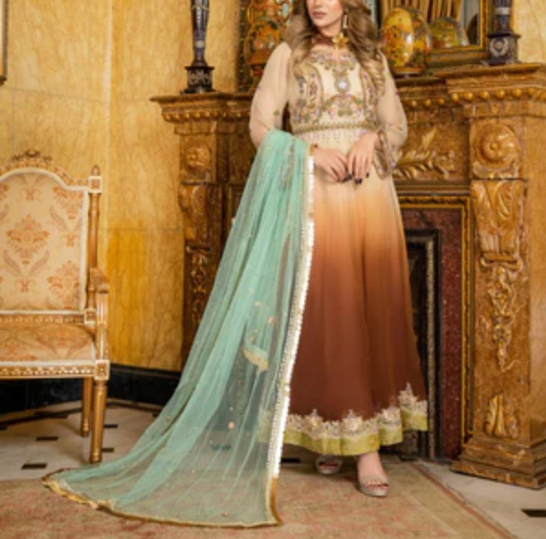 Pakistani/Indian traditional women clothing