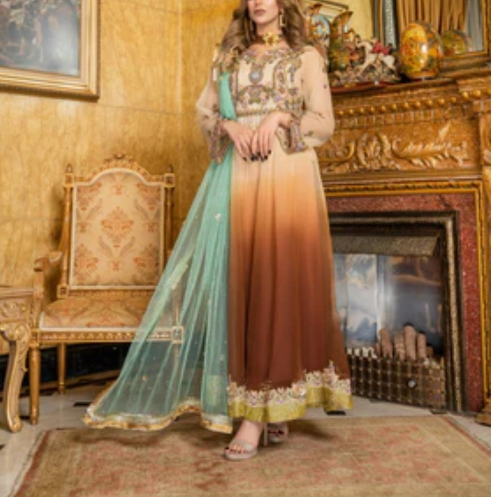 Pakistani/Indian traditional women clothing