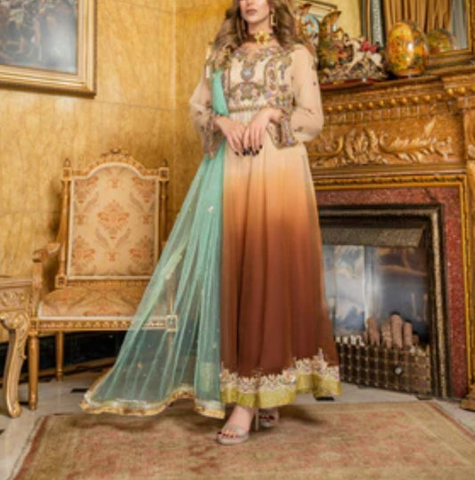 Pakistani/Indian traditional women clothing