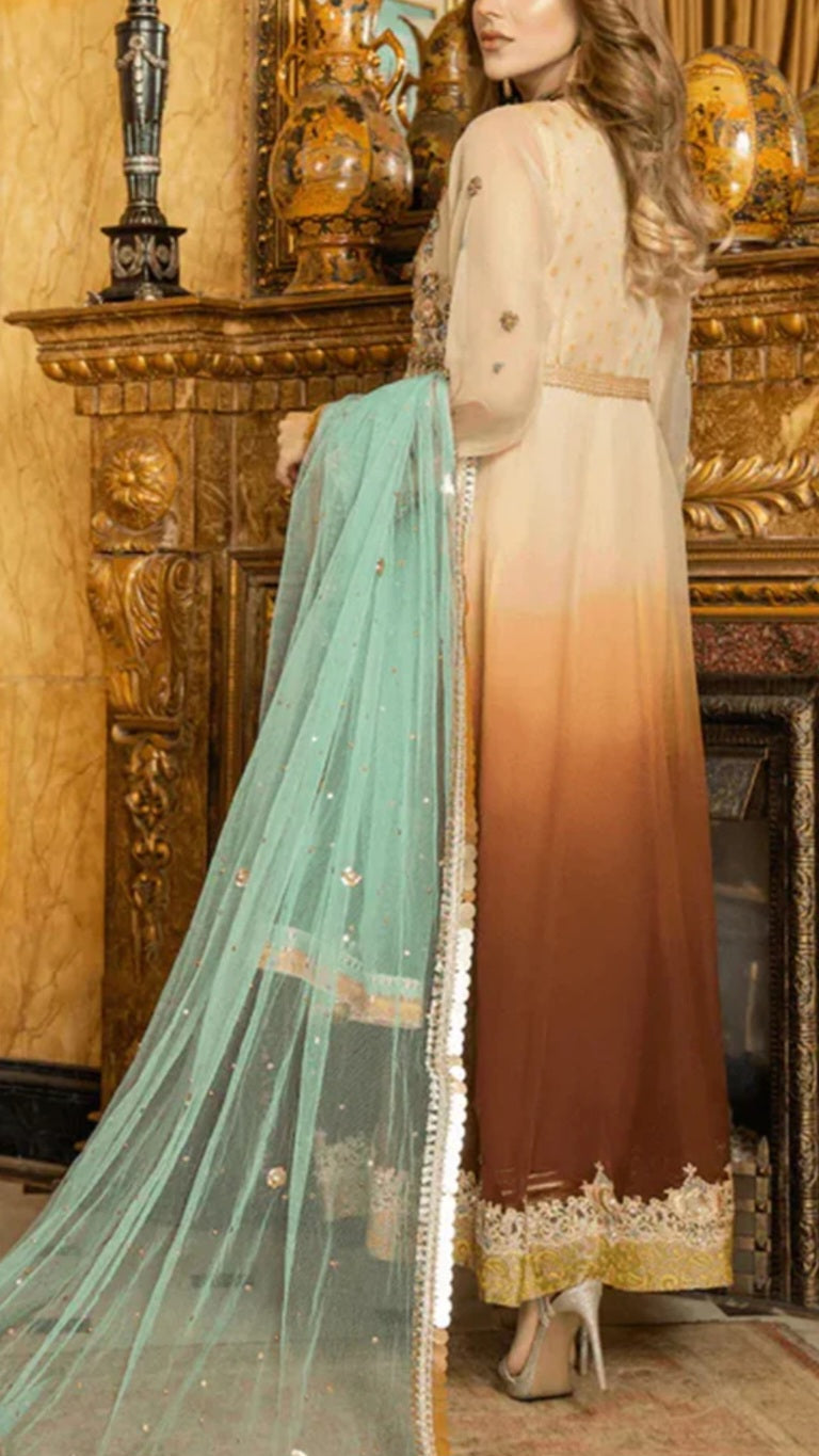 Pakistani/Indian traditional women clothing