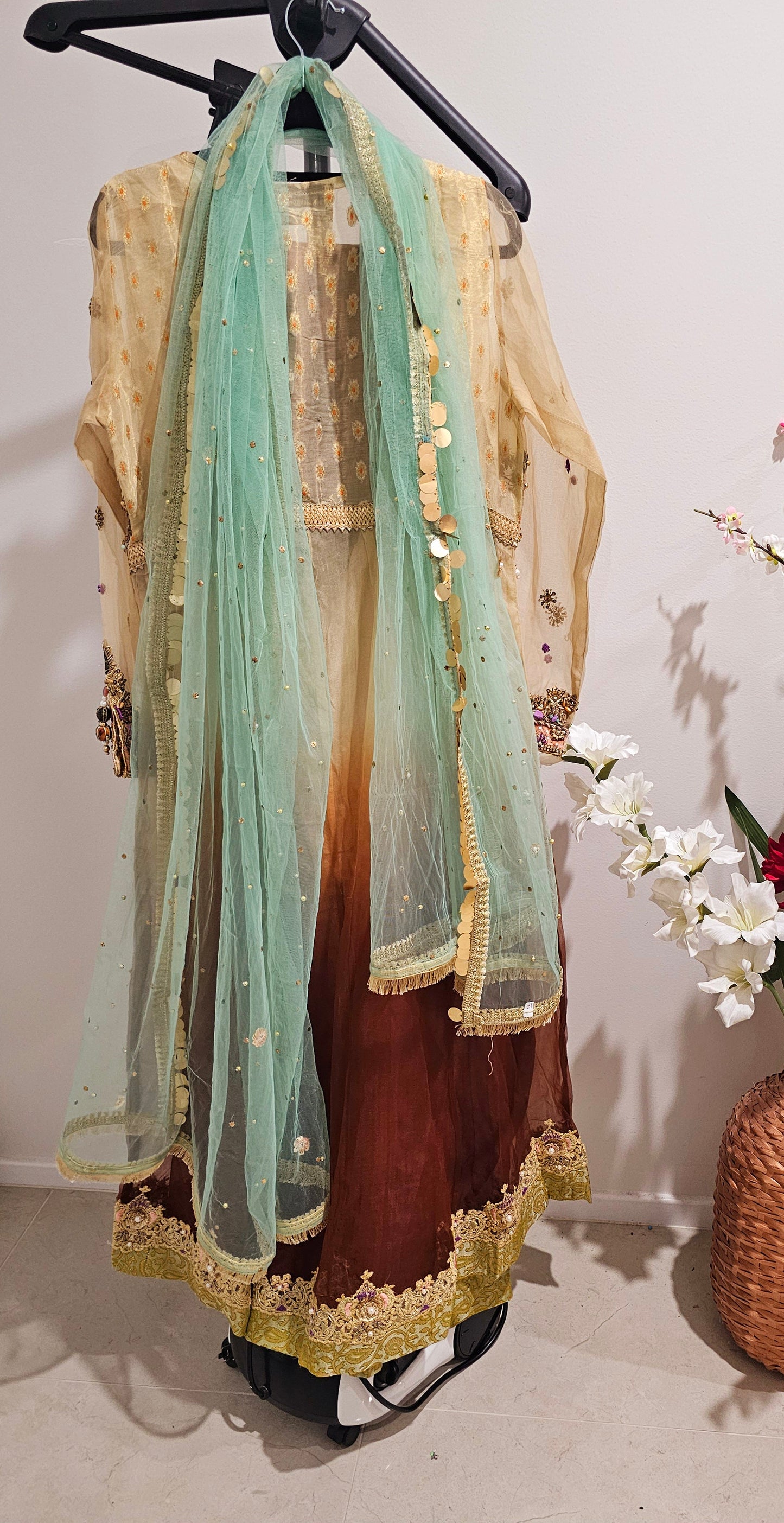 Pakistani/Indian traditional women clothing
