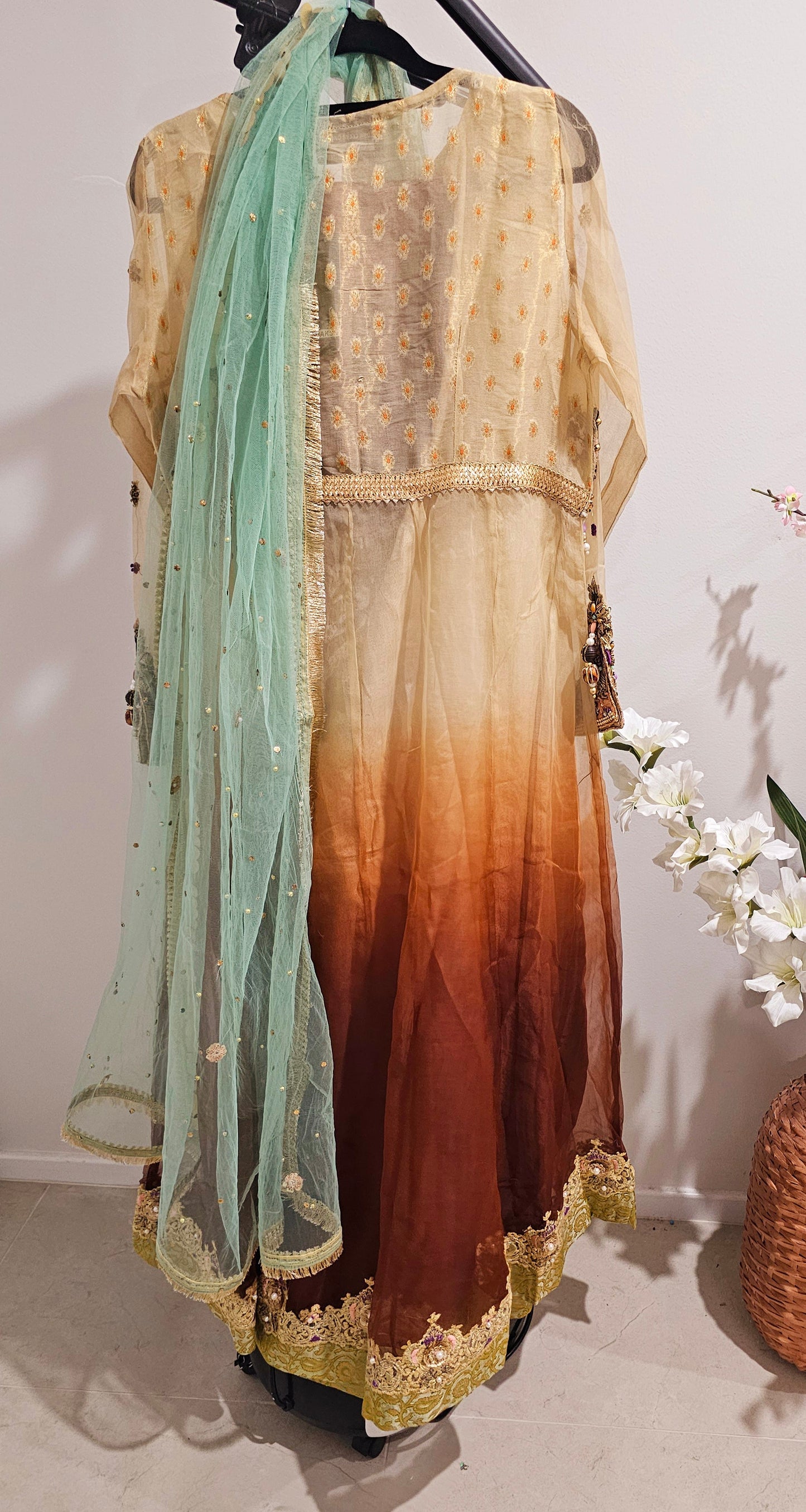 Pakistani/Indian traditional women clothing