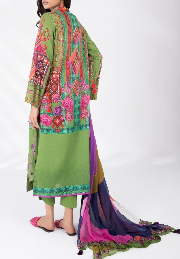 Pakistani/Indian traditional women clothing
