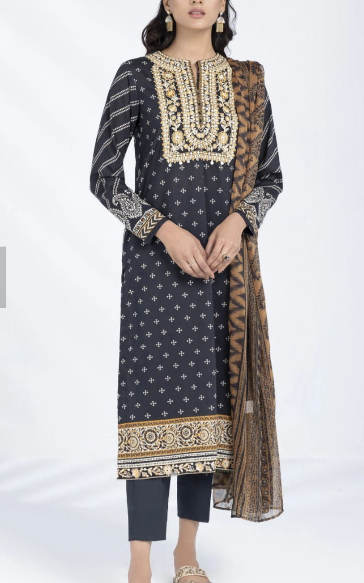 Pakistani traditional embroidery suit