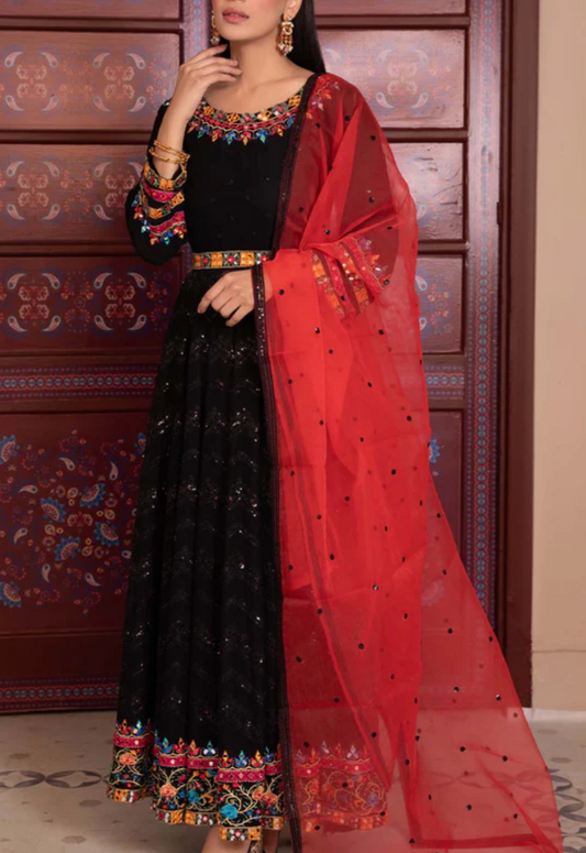 Pakistani/Indian traditional women clothing