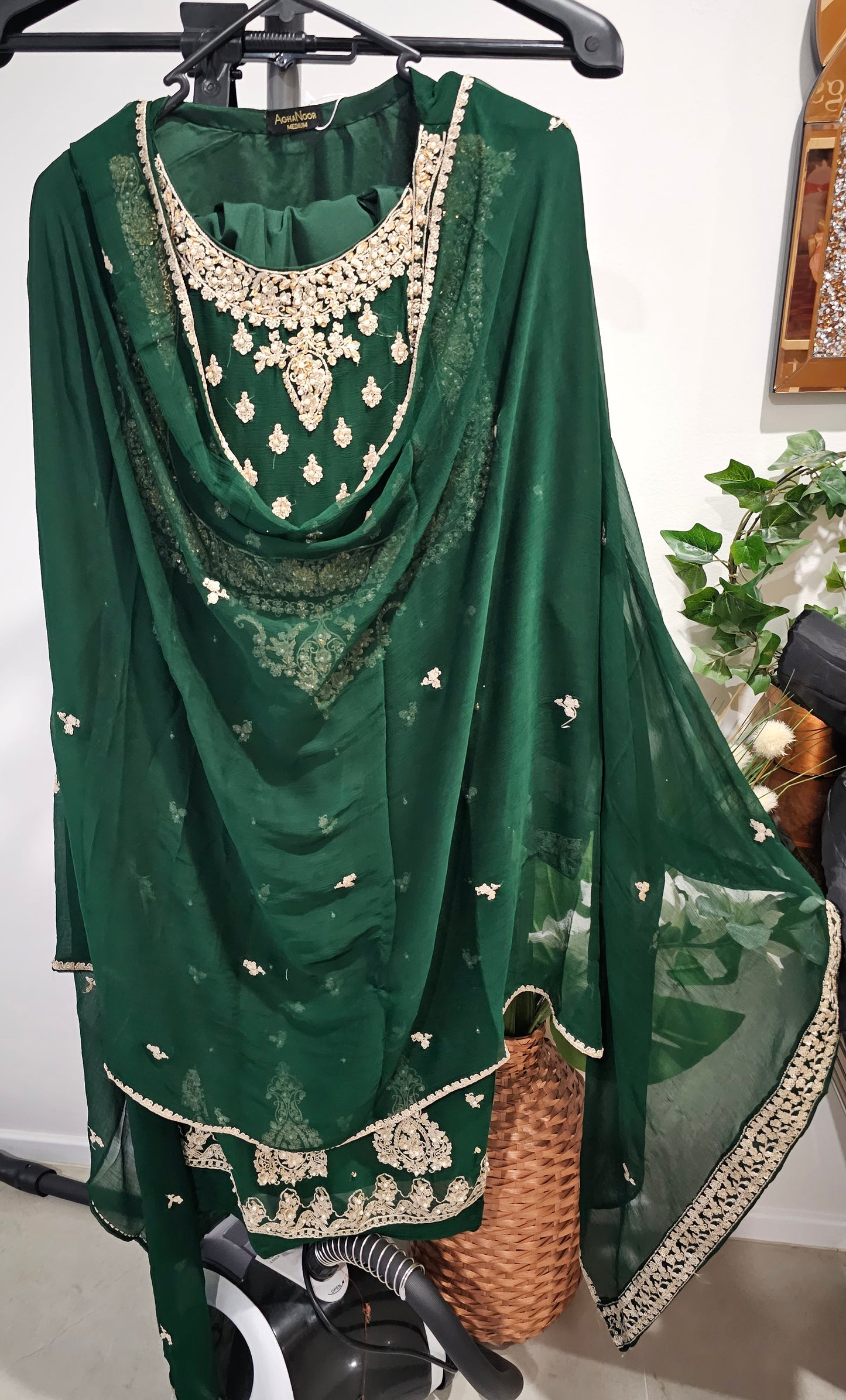 Pakistani/Indian traditional women clothing