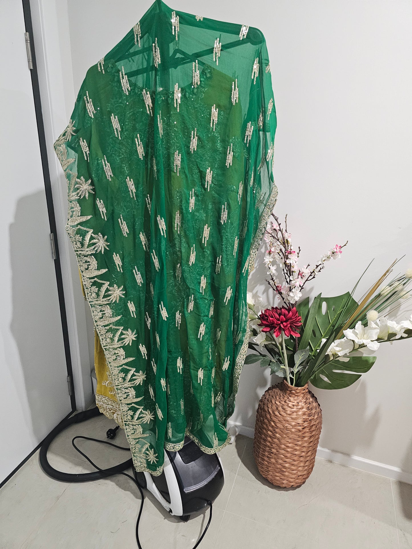 Pakistani/Indian traditional women clothing
