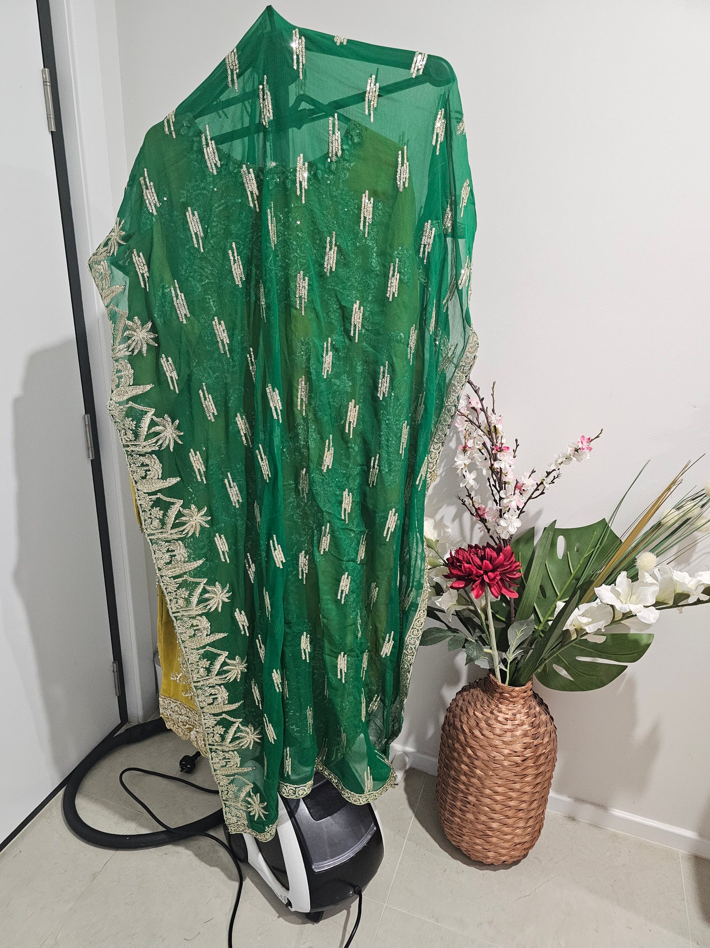 Pakistani/Indian traditional women clothing