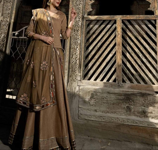 Pakistani/Indian traditional women clothing