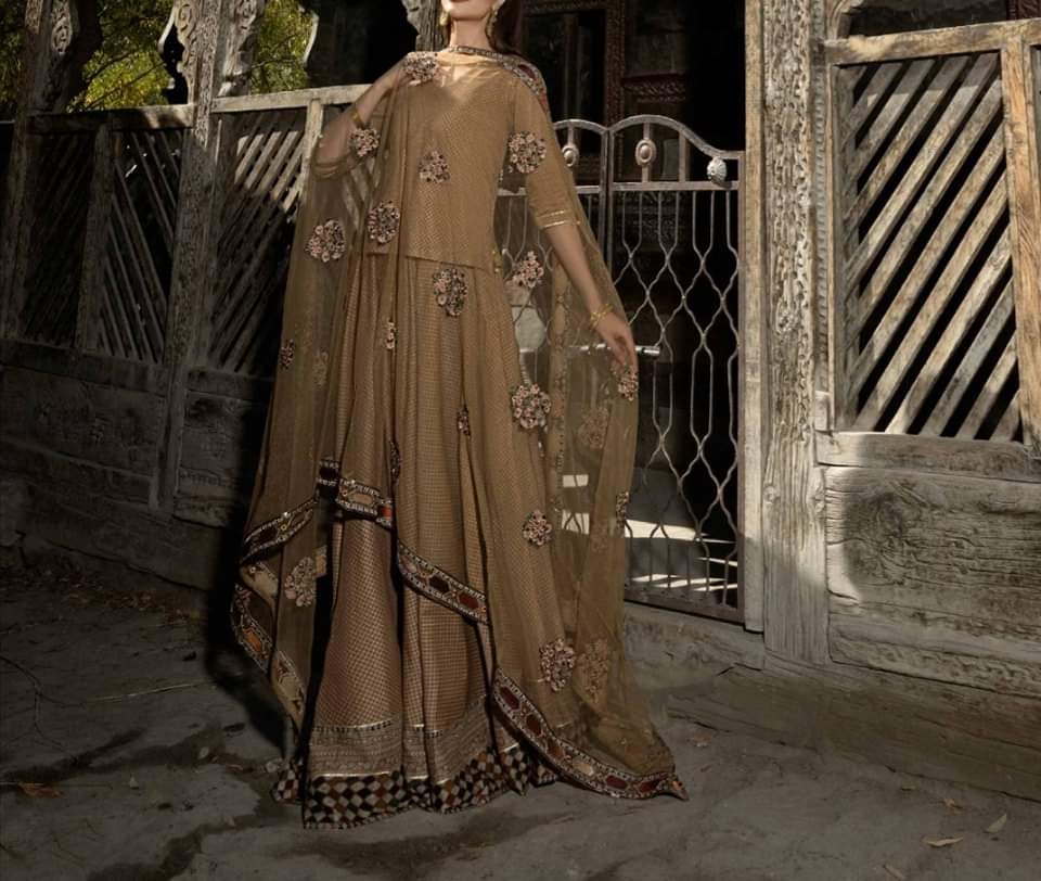 Pakistani/Indian traditional women clothing