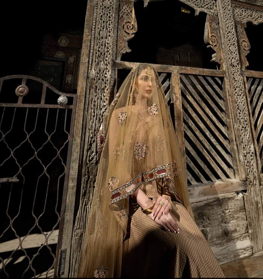 Pakistani/Indian traditional women clothing