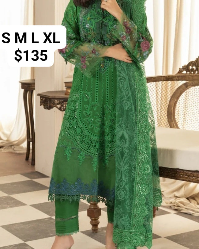 Pakistani/Indian traditional women clothing