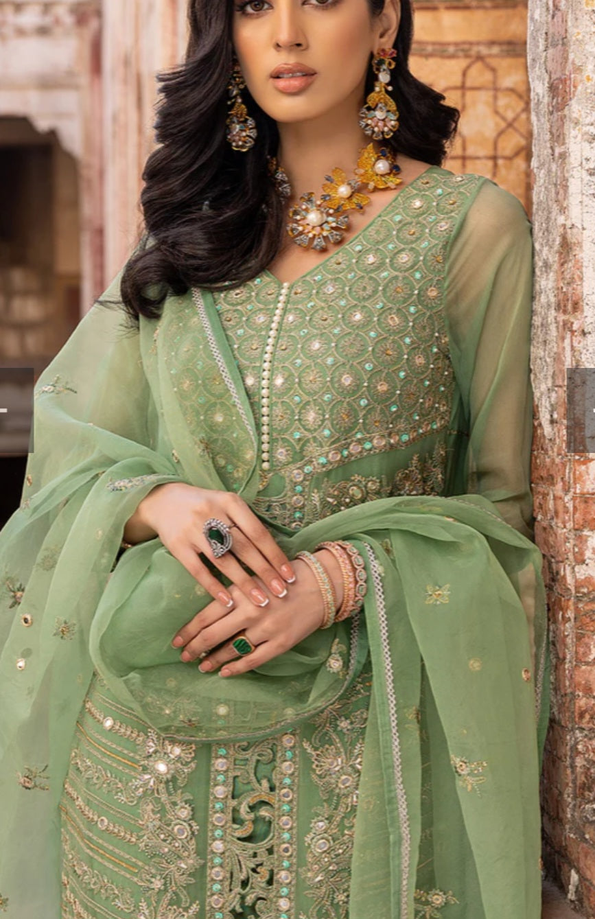 Pakistani traditional embroidery suit