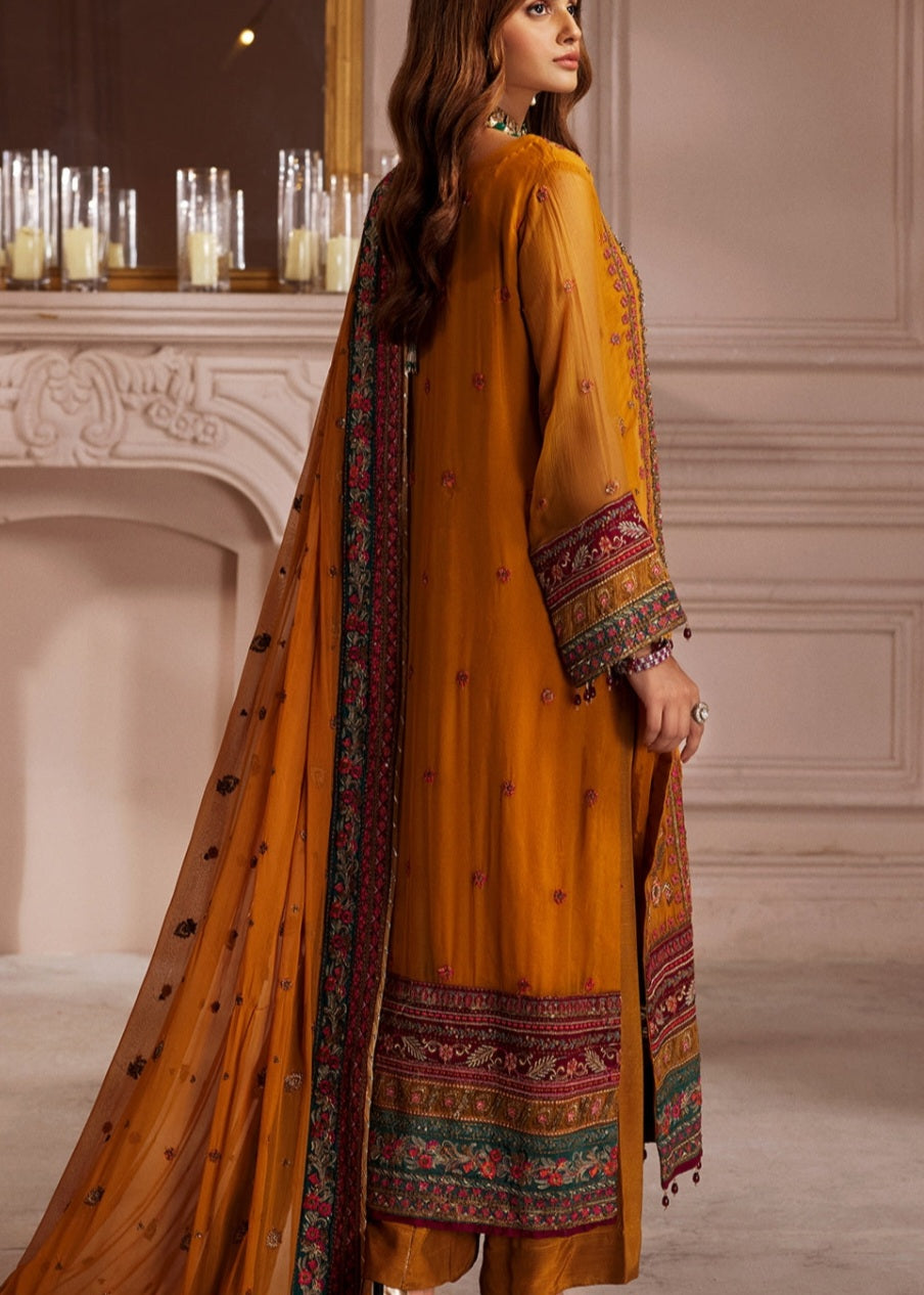 Pakistani traditional embroidery suit