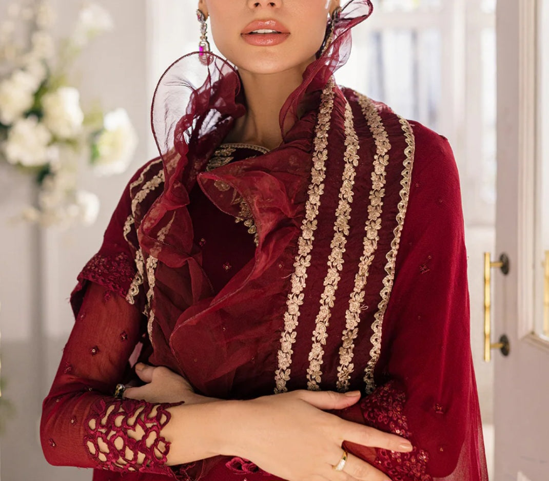 Pakistani/Indian traditional women clothing