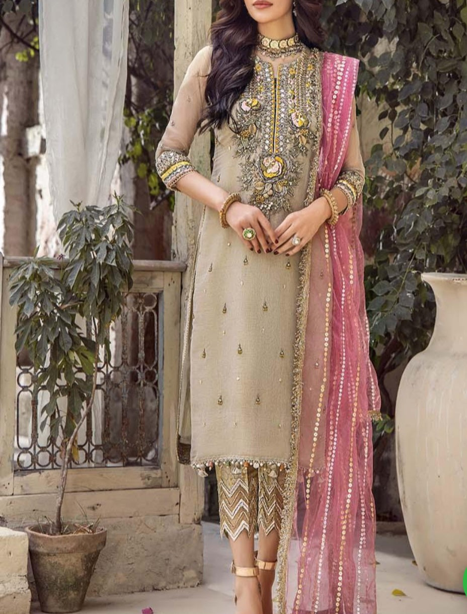 Pakistani/Indian traditional women clothing