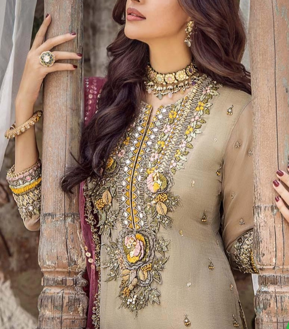 Pakistani/Indian traditional women clothing