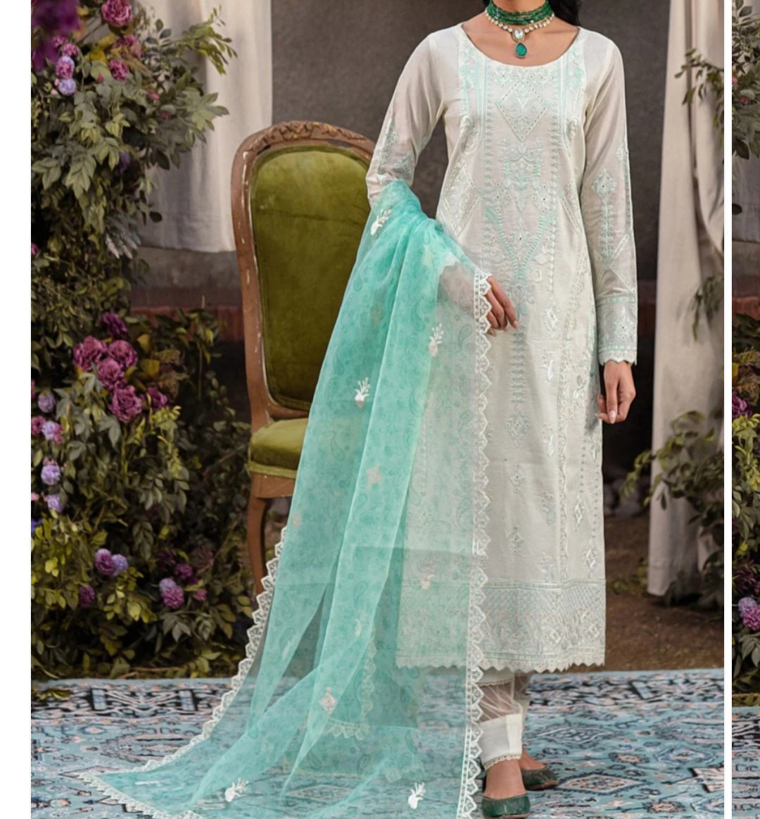 Pakistani/Indian traditional women clothing