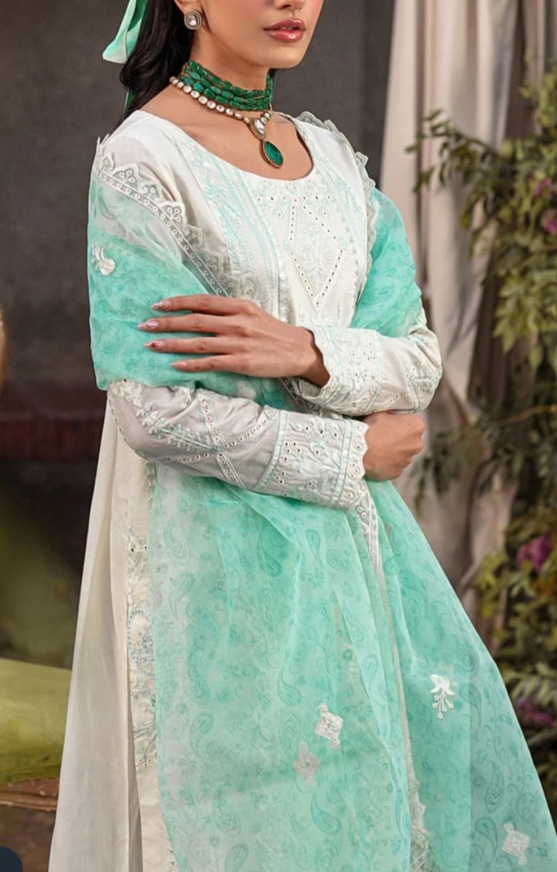 Pakistani/Indian traditional women clothing