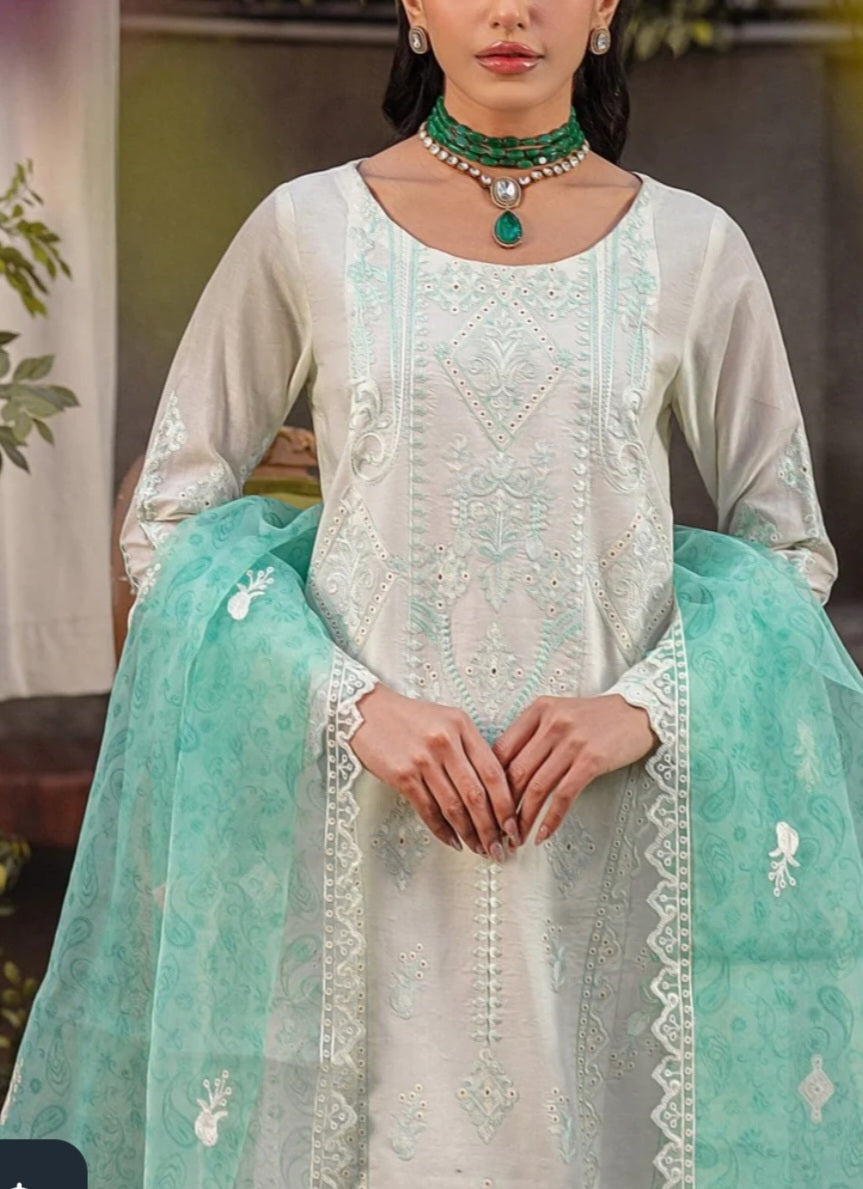Pakistani/Indian traditional women clothing