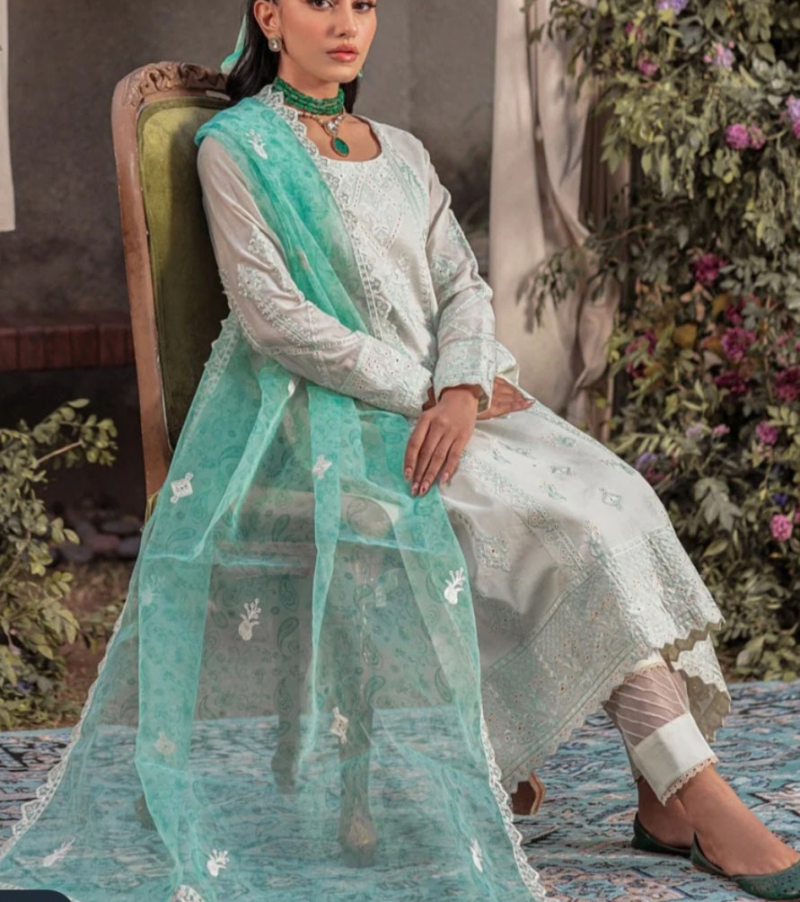Pakistani/Indian traditional women clothing
