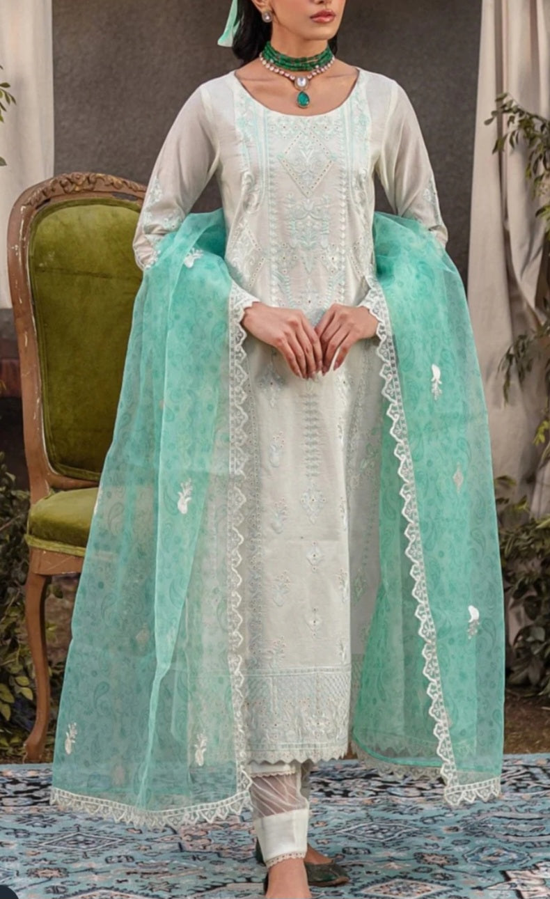 Pakistani/Indian traditional women clothing