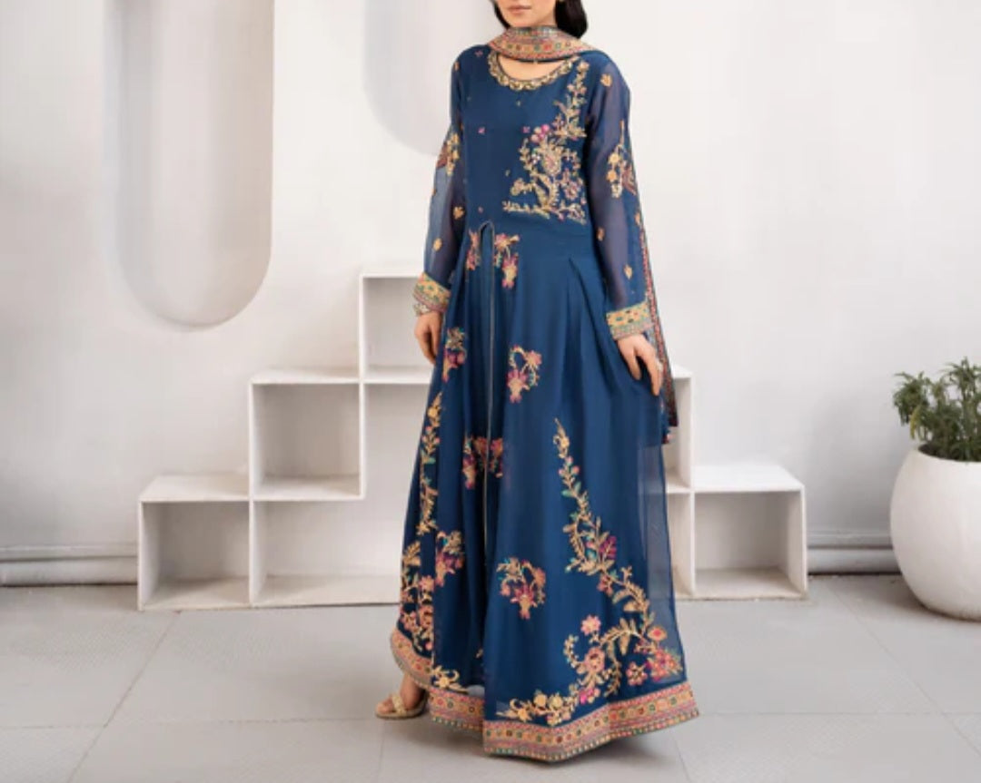 Pakistani/Indian traditional women clothing