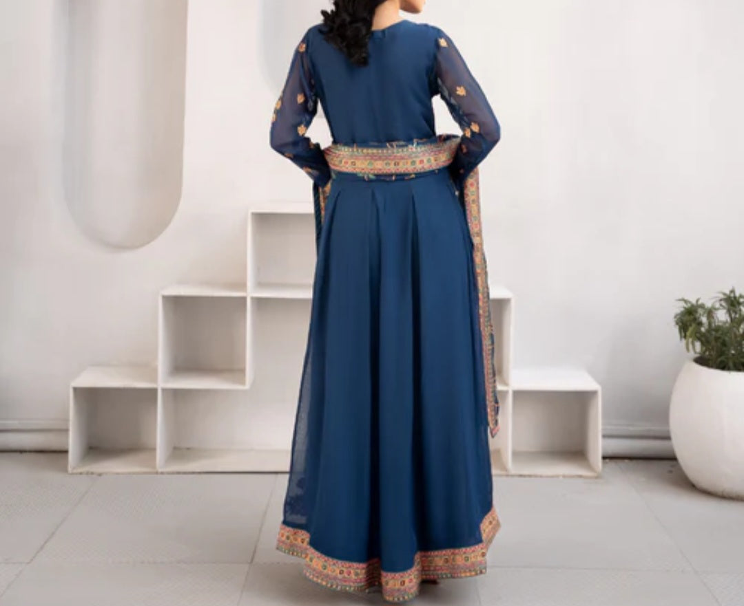 Pakistani/Indian traditional women clothing
