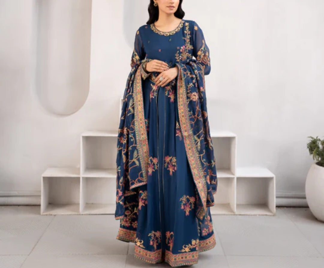 Pakistani/Indian traditional women clothing