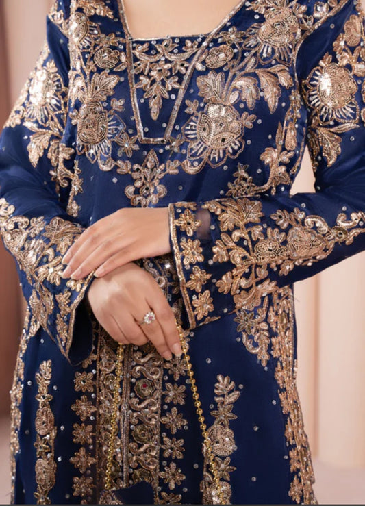 Pakistani/Indian traditional women clothing