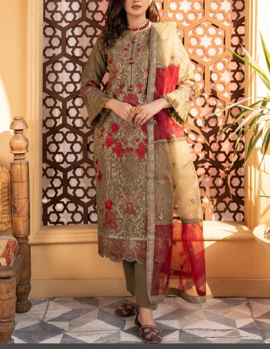 Pakistani/Indian traditional women clothing