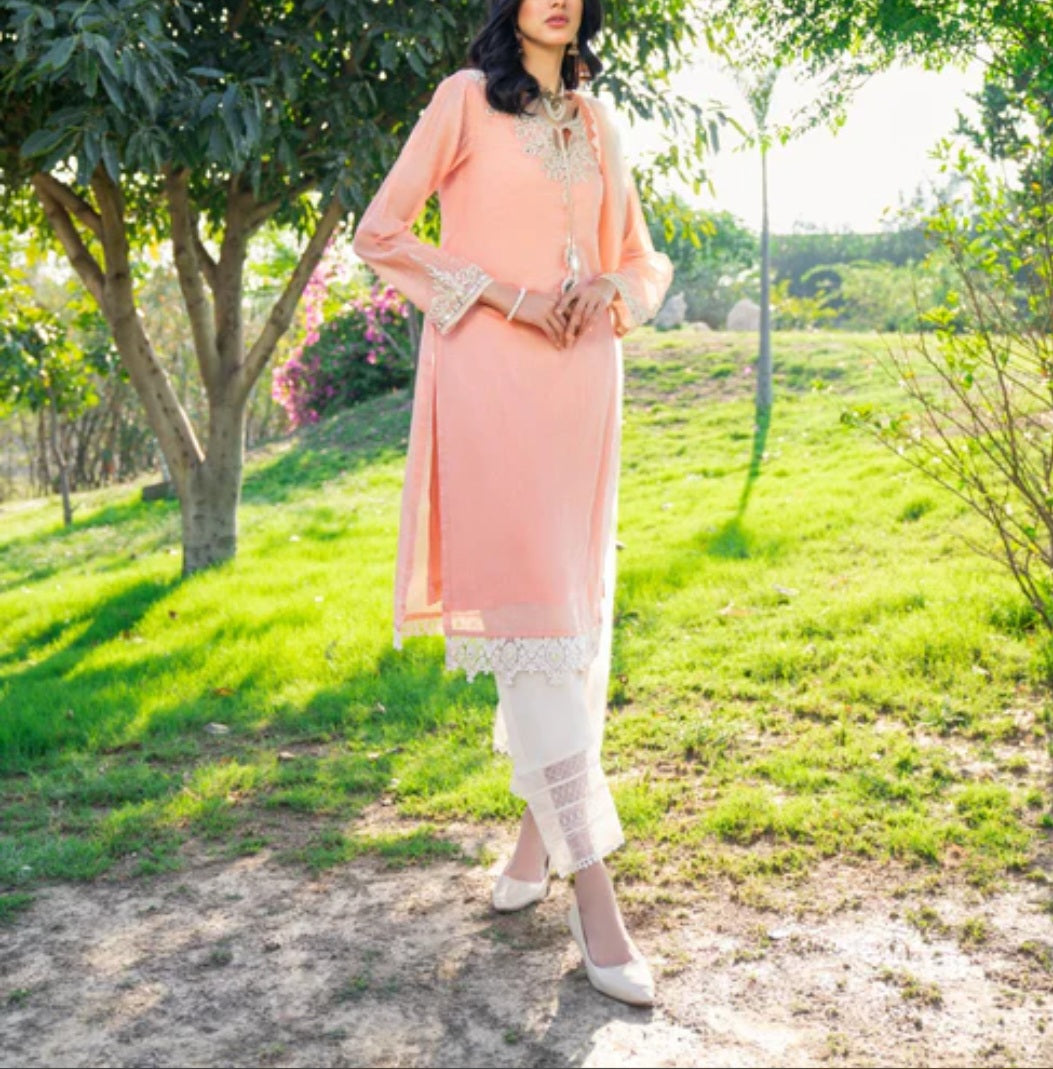 Pakistani/Indian traditional women clothing