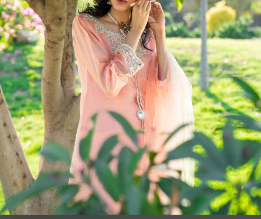 Pakistani/Indian traditional women clothing