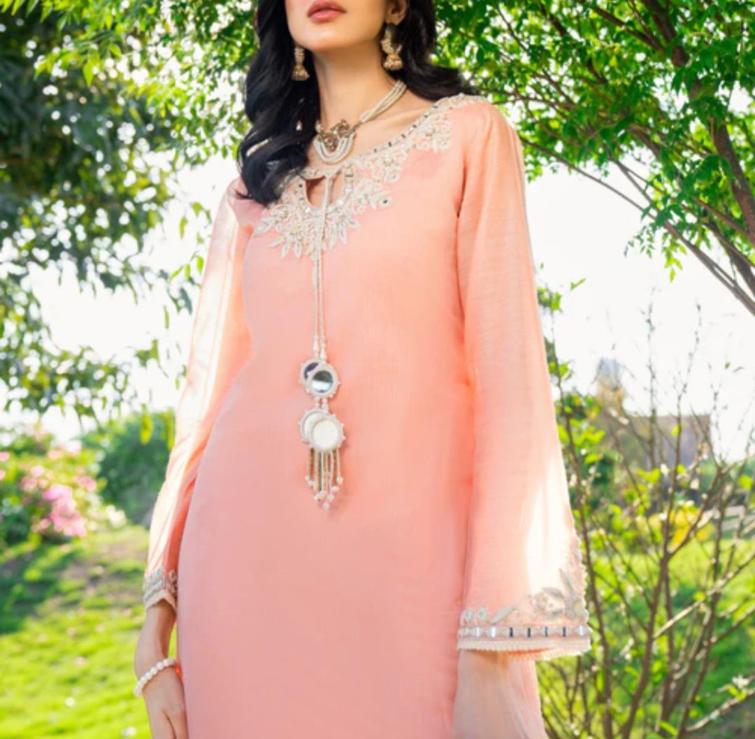 Pakistani/Indian traditional women clothing