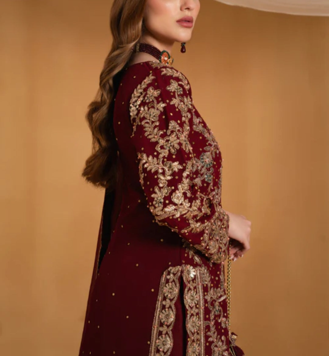 Pakistani/Indian traditional women clothing
