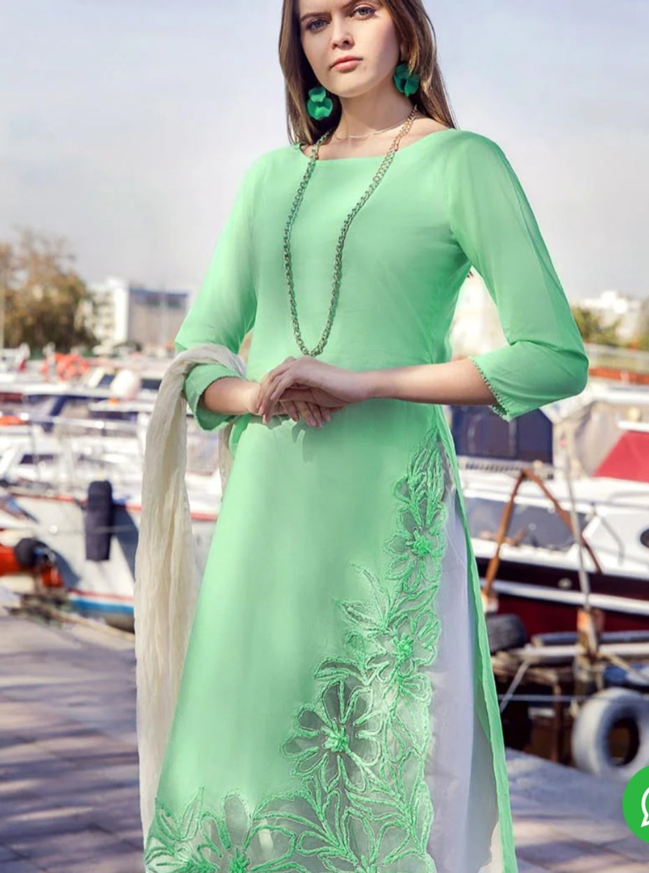 Pakistani traditional embroidery suit